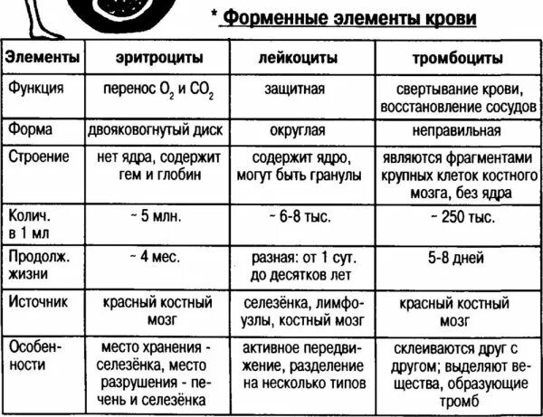 Термин форменные элементы применяется при описании клеток. Сравнение форменных элементов крови таблица. форменные элементы крови таблица. форменные элементы крови таблица гистология. характеристика форменных элементов крови таблица.