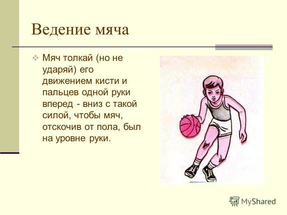 Ведение мяча на месте и в движении. Баскетбол ведение мяча физра. Доклад на тему техника ведения мяча в баскетболе. Ведение мяча в баскетболе 2 класс. Техника ведения баскетбольного мяча 3 класс.