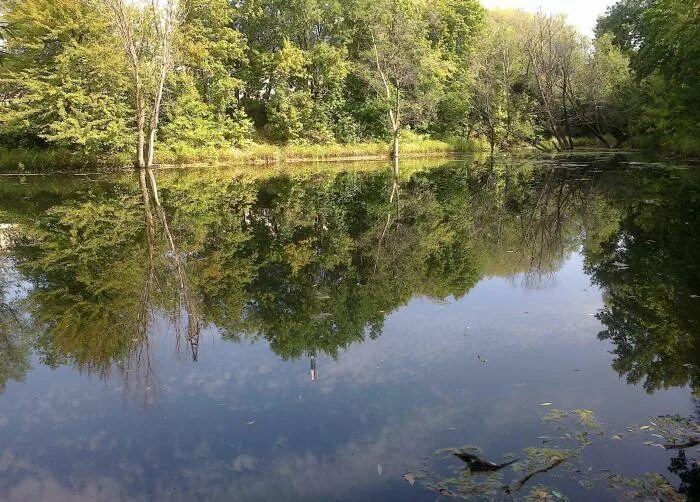 Озеро леснуха самара. Озеро Леснуха Самара 5 просека. Рыбалка озеро Леснуха Самара. Сквер Леснуха озеро Самара.