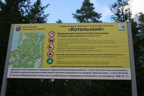 Автобусы сосновый бор котельский
