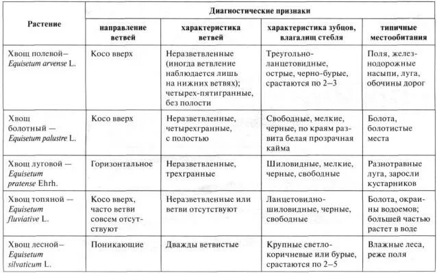 Составьте таблицу сравнительная характеристика гф Светлана Бычкова. Бухгалтерская отчетность. Возможности моделирования для принят