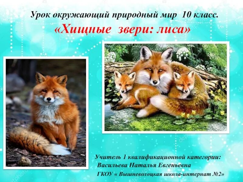 Лисица обыкновенная это хищное животное огэ ответы. Рассказ про лису. презентация на тему лиса. мое любимое животное лиса. сообщение про лису.