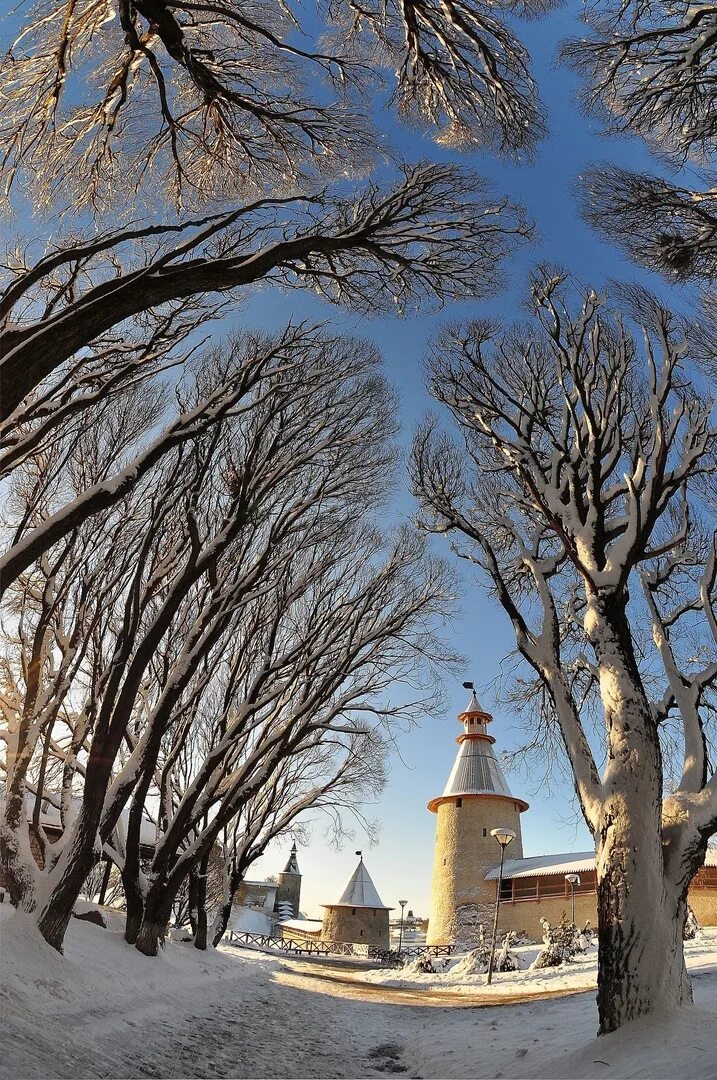 Псков зима. Псковский кремль кром зимой. Троицкий собор псков зимой. Псков набережная зимой. Троицкий собор псков зима.