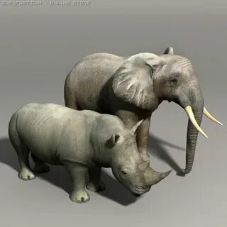 3d model fbx