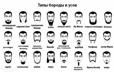 Мужские бороды названия