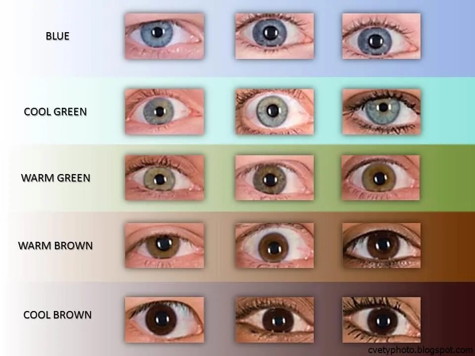 Карие глаза с зеленым оттенком. Хазел цвет глаз. Цвет глаз родителей и детей таблица. Цвета глаз у человека. Типы цвета глаз.