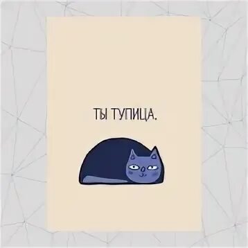 Тупица