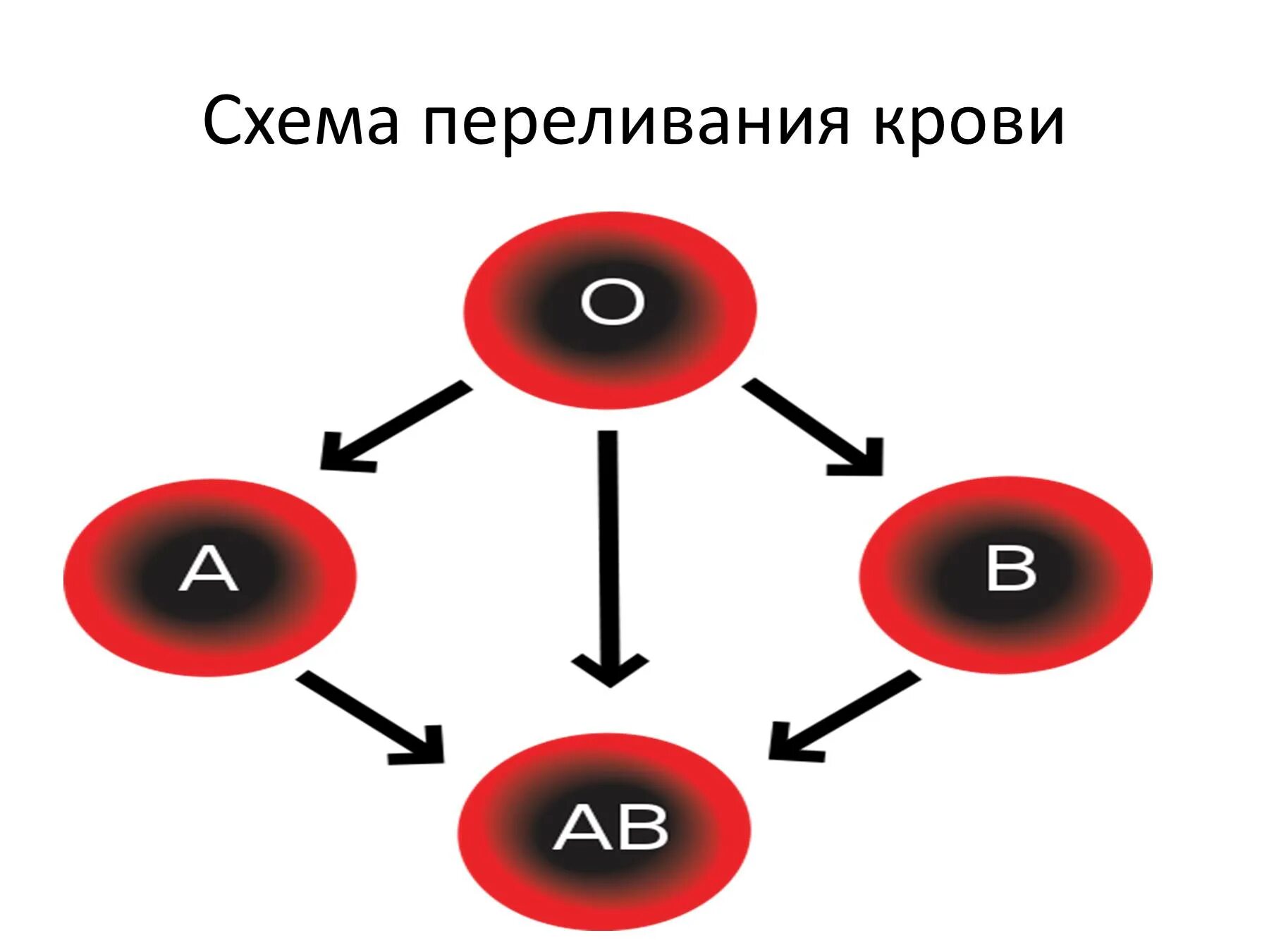 Схема совместимости крови. Схема переливания крови по группам. Схема переливания групп крови. Схема переливания групп крови схема. Переливание крови по группам крови схема.