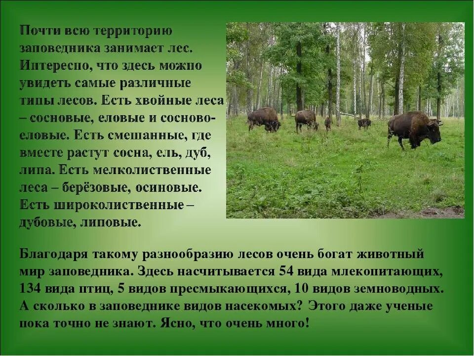 Для сохранения каких животных необходимо охранять