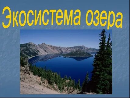 Озера производитель