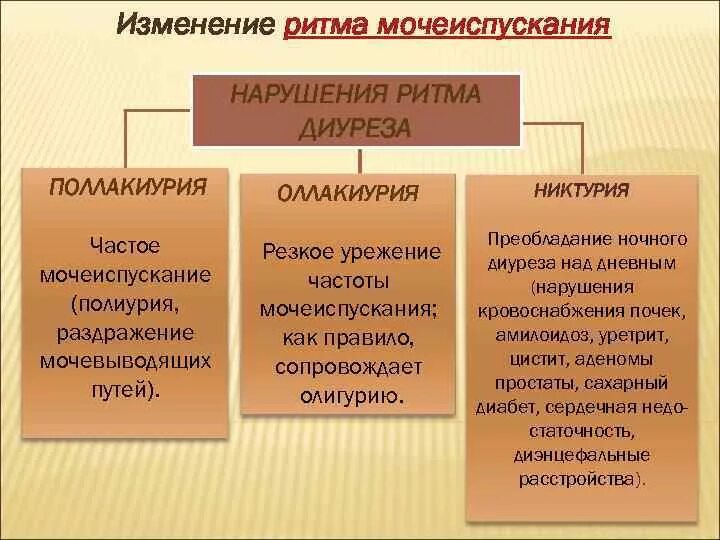 Изменение ритма мочеиспускания. Характеристика изменения ритма мочеиспускания. Изменение частоты мочеиспускания. Изменения ритма частоты мочеиспускания. Основные причины нарушения мочевыделения