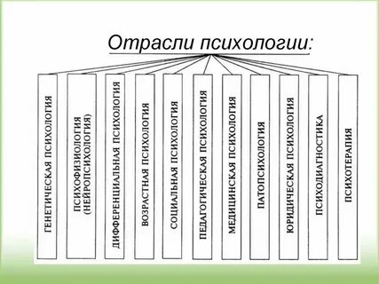 К прикладным отраслям психологии относятся