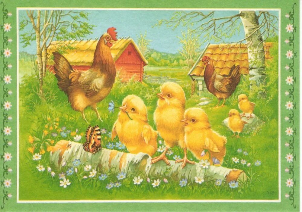 День домашних птиц. Занятие "Курочка и цыплята" Бондаренко. Курица с цыплятами. Курочка с цыплятами. Курочка с цыплятами для детей.