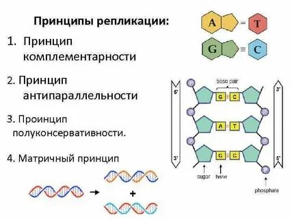 Укажите для репликации матрицу