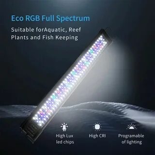 Led gr