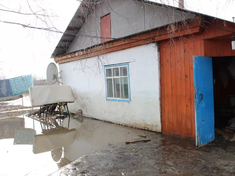 Погода в зеленом доле петропавловского района. Паутово Петропавловский район Алтайский край. Алтайский край Петропавловский район село Камышенка. Антоньевка Петропавловский район. Зелёный дол Алтайский край Петропавловский район.