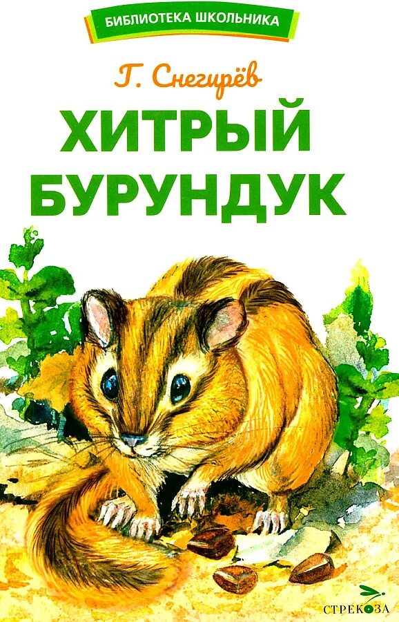 Рассказ хитрый бурундук. Книга хитрый бурундук. Снегирев хитрый бурундук. Хитрый бурундук. Хитрый бурундук снегирев читать.