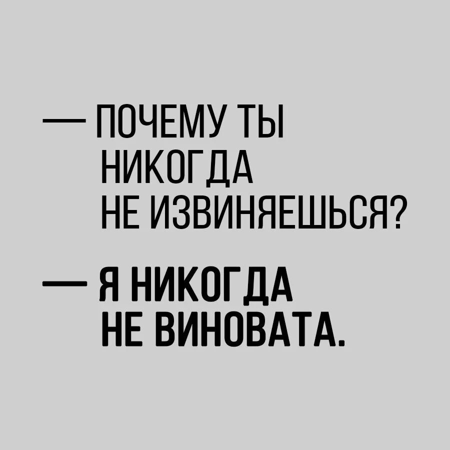 Извинить потому. Почему ты никогда не извиняешься. Почему ты никогда не извиняешься я никогда не виновата. Никогда не извиняйтесь. Никогда почему не.