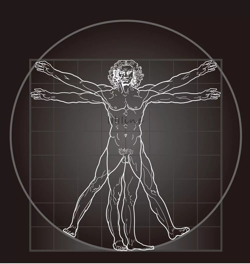 Человек леонардо да винчи. Да винчи человек витрувианский. Человек леонардо да винчи. Идея совершенного человека. Витрувианский человек леонардо да ви.