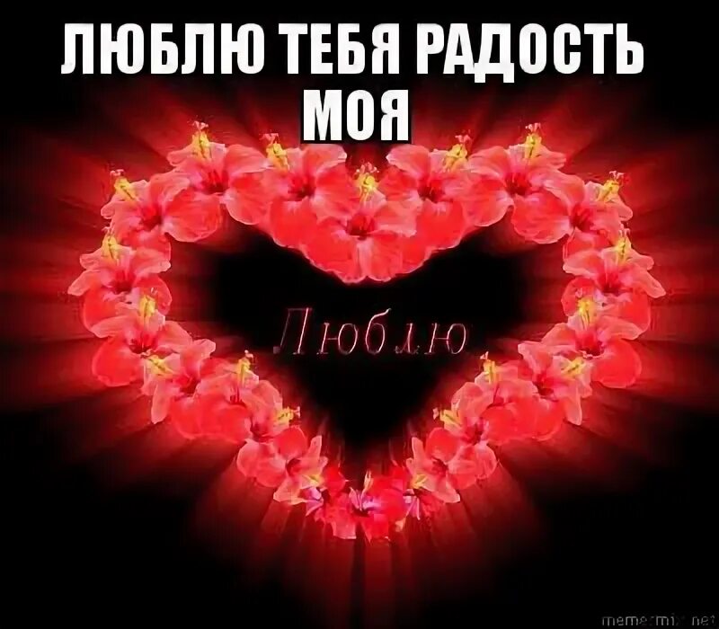 Радость моя надпись. Ты моя радость. Ты моя радость стихи. Ты моя радость картинки. Ты моя радость.