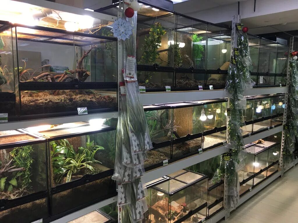 большой зоомагазин. зоомагазины с животными в москве. разводня аквариумных рыбок мусы джалиля. известные зоомагазины в москве. большой зоомагазин.