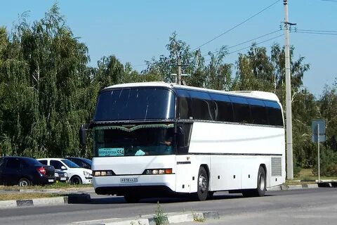 41 автобус белгород