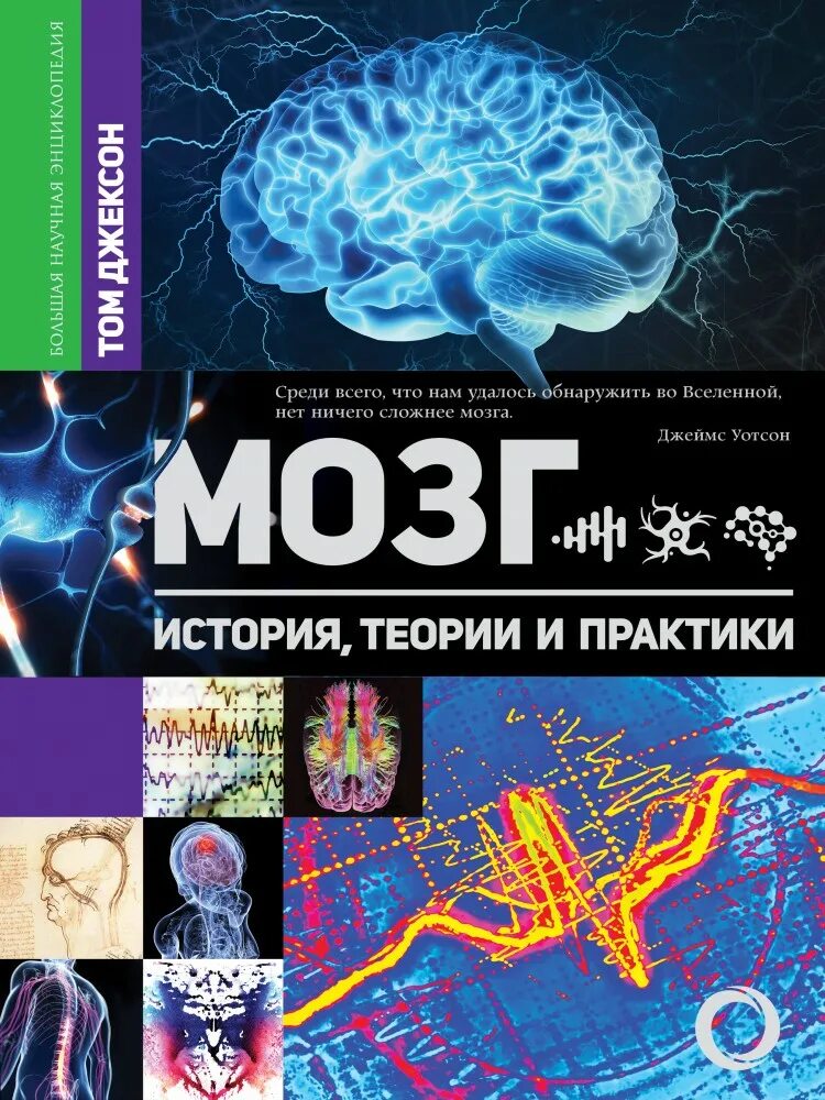 Джексон мозг теории практики. Книга мозг. Том Джексон мозг история теории и практики. Мозг энциклопедия.