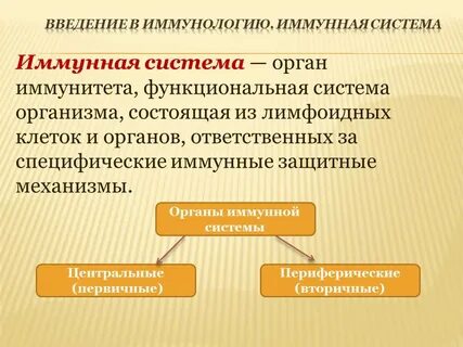 Иммунитет иммунология
