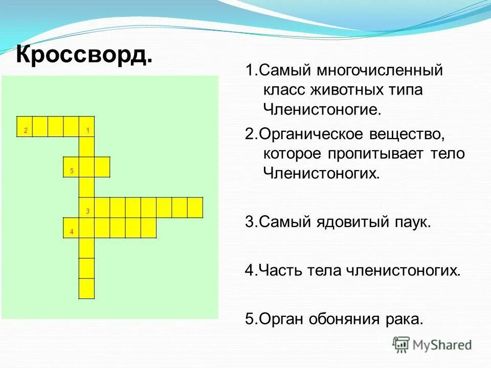 Вопросы по теме членистоногие с ответами. Тип членистоногие зачет. Кроссворд по теме членистоногие 7 класс биология. Кроссворд на тему членистоногих. Кроссворд по биологии 7 класс с ответами и вопросами 25 слов.