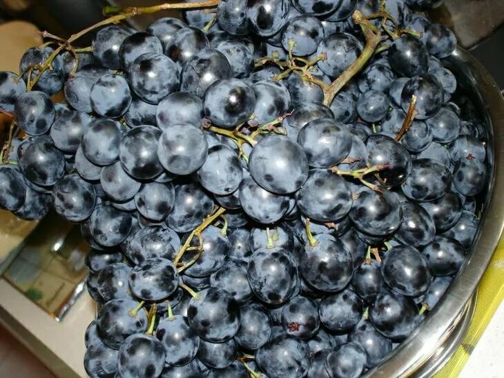 10 килограмм винограда. Черный виноград внутри.