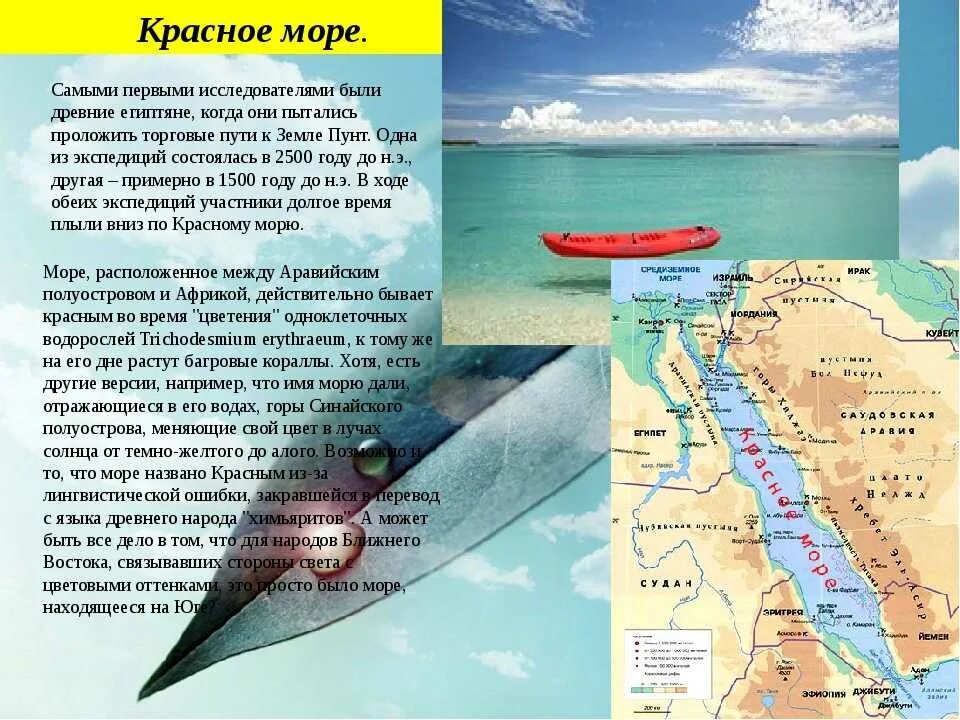 Какого океана является красное море. Описание красного моря. Красное море география. Что впадает в красное море. Красное море глубина.