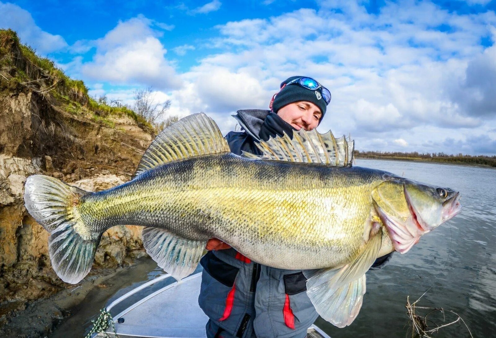 какие аквариумные рыбки не переносят соль. Dolly fish. фигурки рыб. Fish 20.