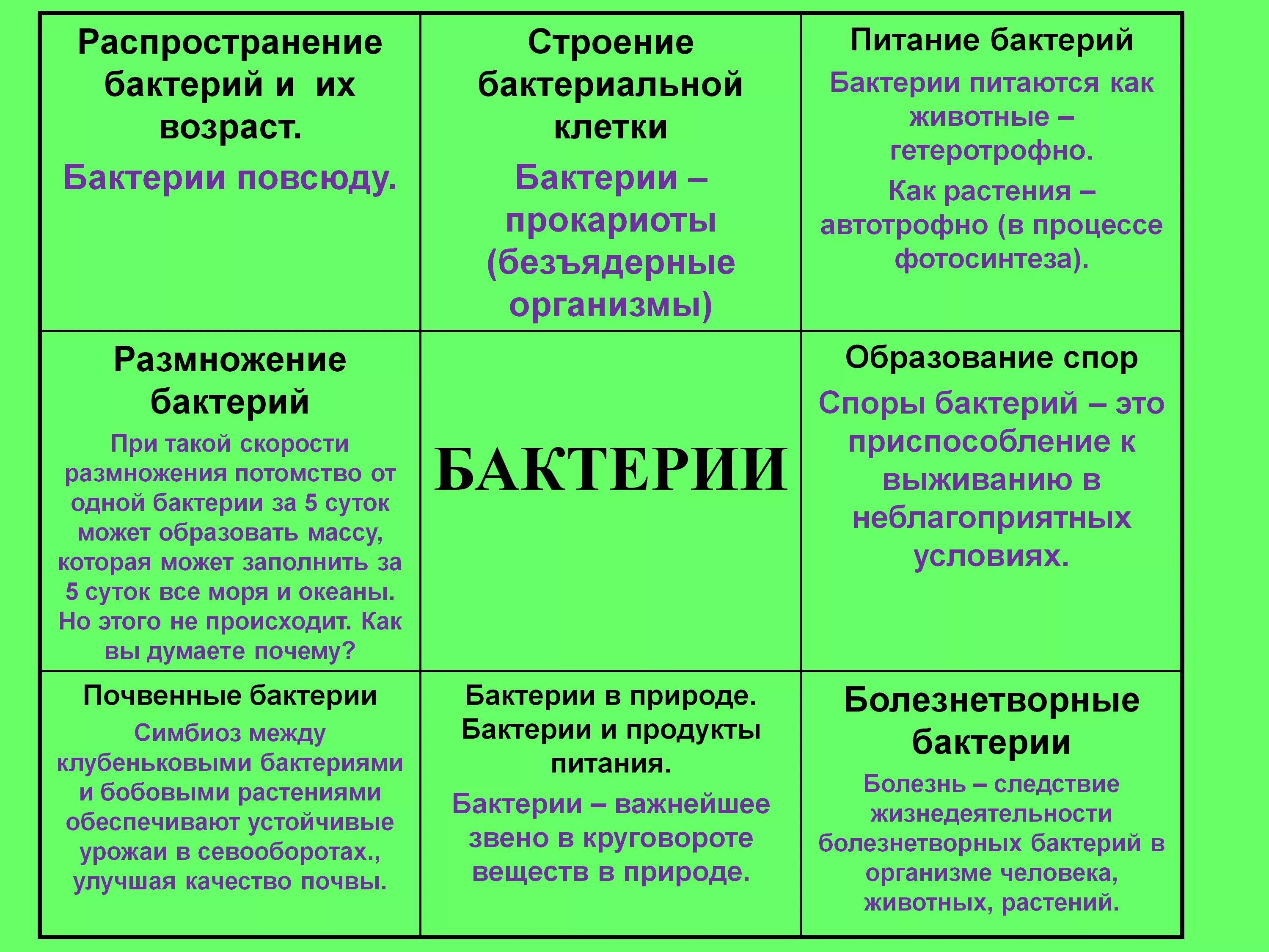 Таблица по бактериям. Бактерии таблица. Свойства бактерий таблица. Таблица по биологии 5 класс бактерии.