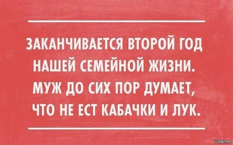 Муж думает что не ест кабачки. Муж до сих пор думает что не ест кабачки и лук. Муж до сих пор думает что не ест лук. Муж думает. Муж не работает 3 года