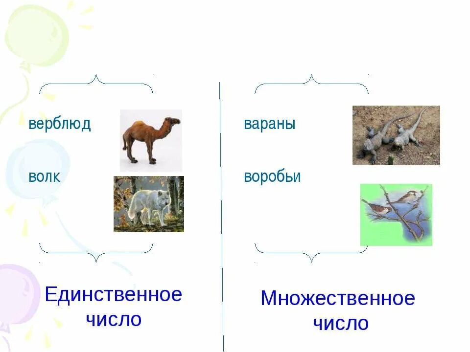 Воробей множественное