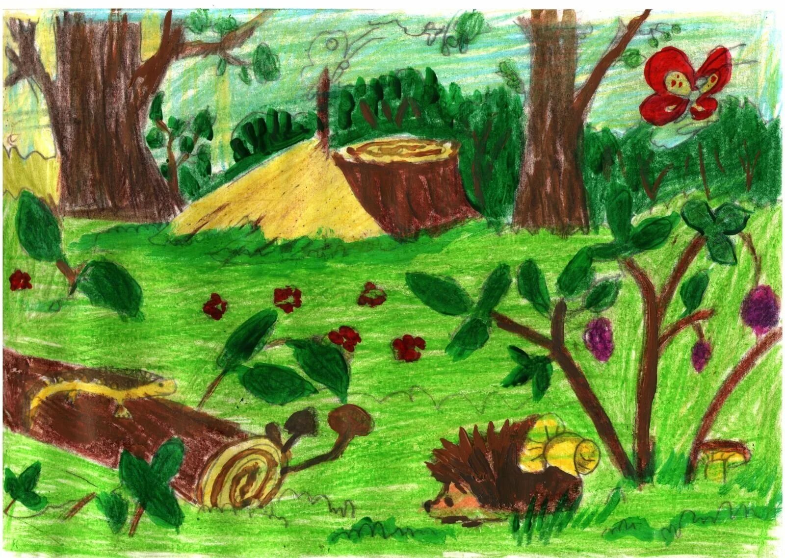 Рисунок на тему лес. Лес глазами детей. Детский рисунок лес. Детский рисунок природа.