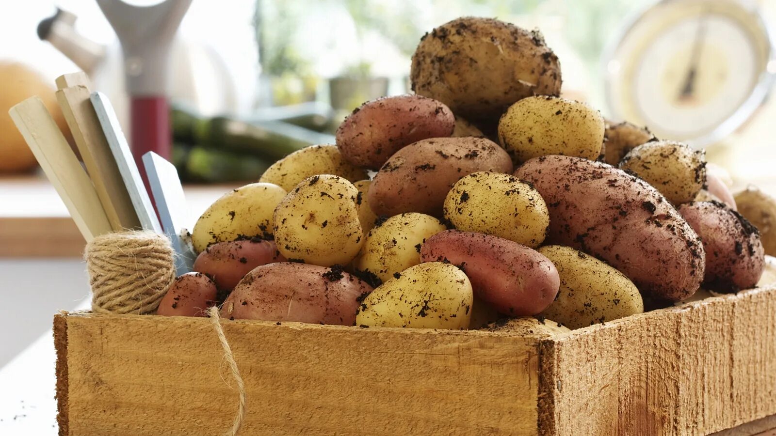 Baked Potatoes. Baked Potato. Потатос. Сыр батата.