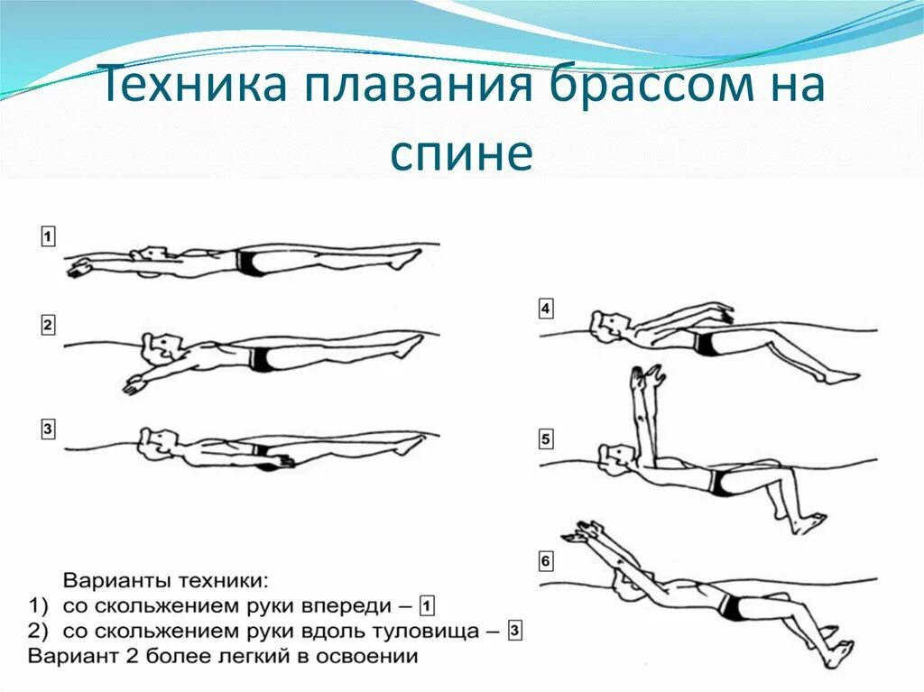 Обучение плаванию кролем на спине. Методика плавания брассом. Брасс на спине техника плавания. Кроль и брасс плавание. Брас YF cgbyy вид плавание техника.