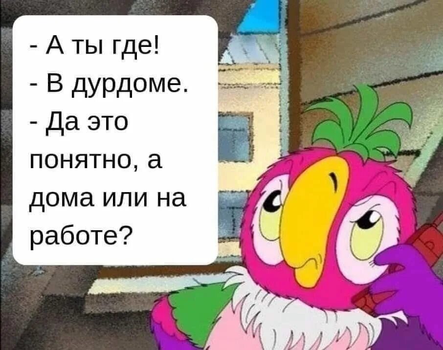 Але мама я в психушке. А ты где в дурдоме. Дурдом на работе. Приколы про дурдом на работе. Дурдом картинки смешные.