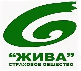 Компания жив