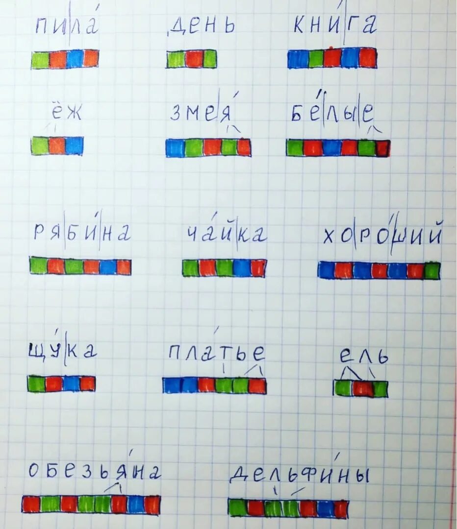 Картинки ВЕТКА СХЕМА СЛОВА ЦВЕТНАЯ