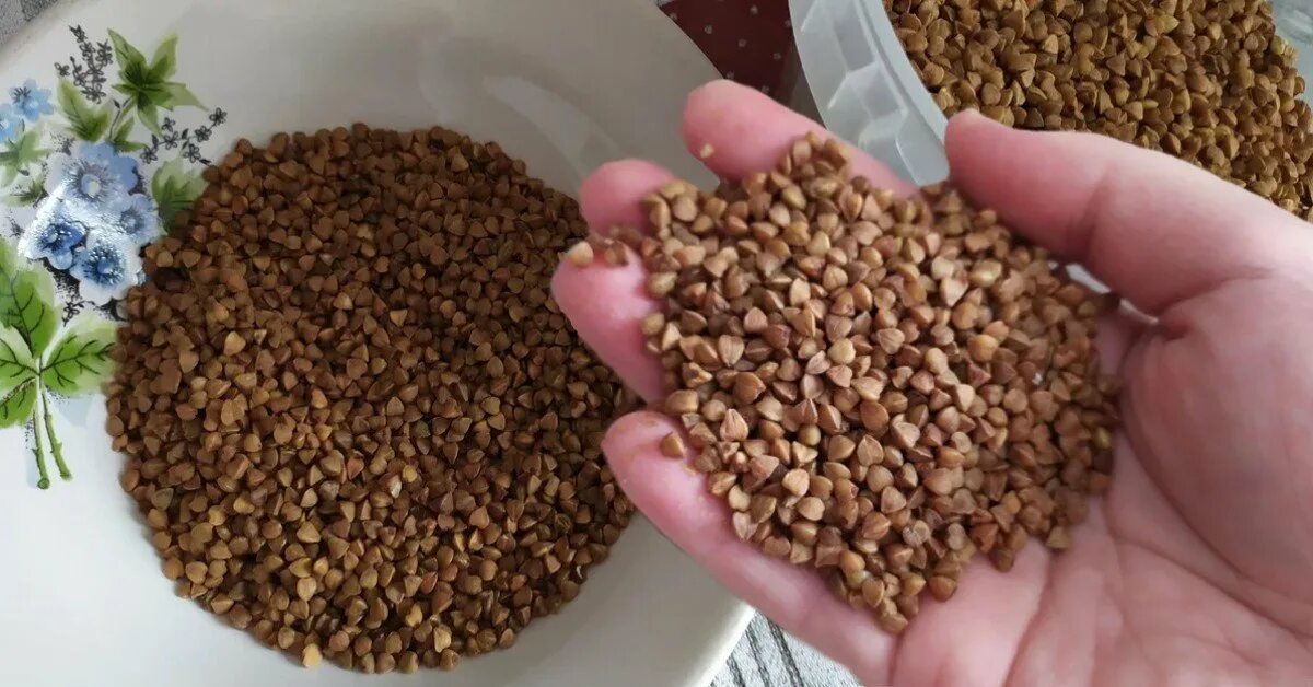 Гречка запаренная кипятком. Гречка без холодильника. Popcorn из гречки. Гречка без холодильника. Гречка без.