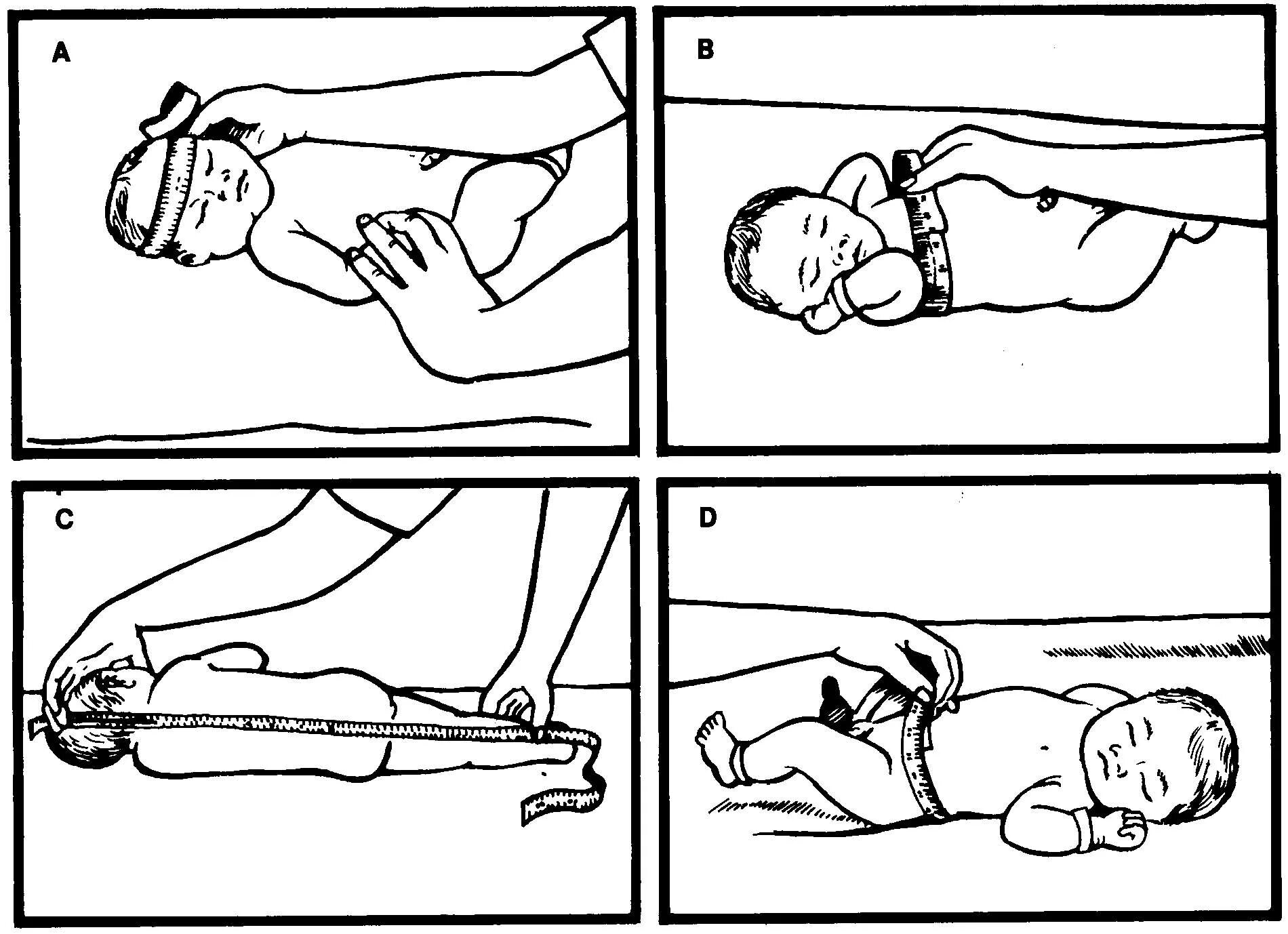Алгоритм измерения окружности головы. Антропометрические измерения новорожденного. Антропометрия новорожденного ребенка алгоритм. Антропометрия грудного ребенка. Измерение окружности головы и грудной клетки алгоритм.