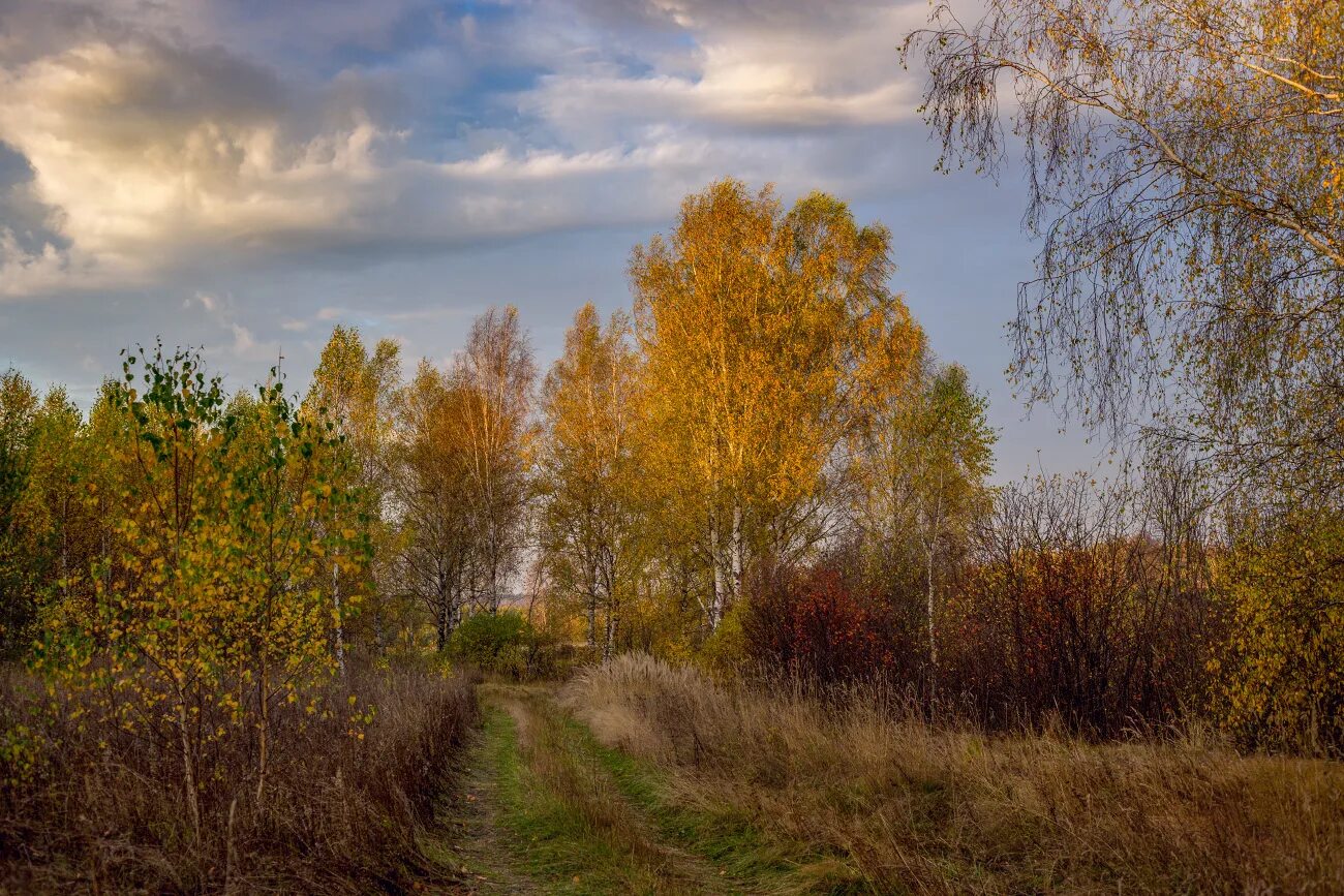 Октябрьские картинки. Осеннее утро. Осеннее Октябрьское утро. Осень утро октябрь. Осеннее утро фото.