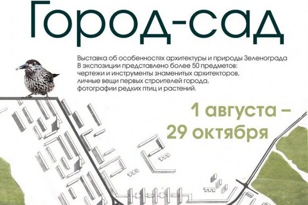 Город сад читать. Зеленоград город сад. концепция город-сад зеленограда. история строительства зеленограда по районам.