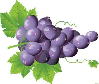 Картинка для детей виноград на прозрачном фоне