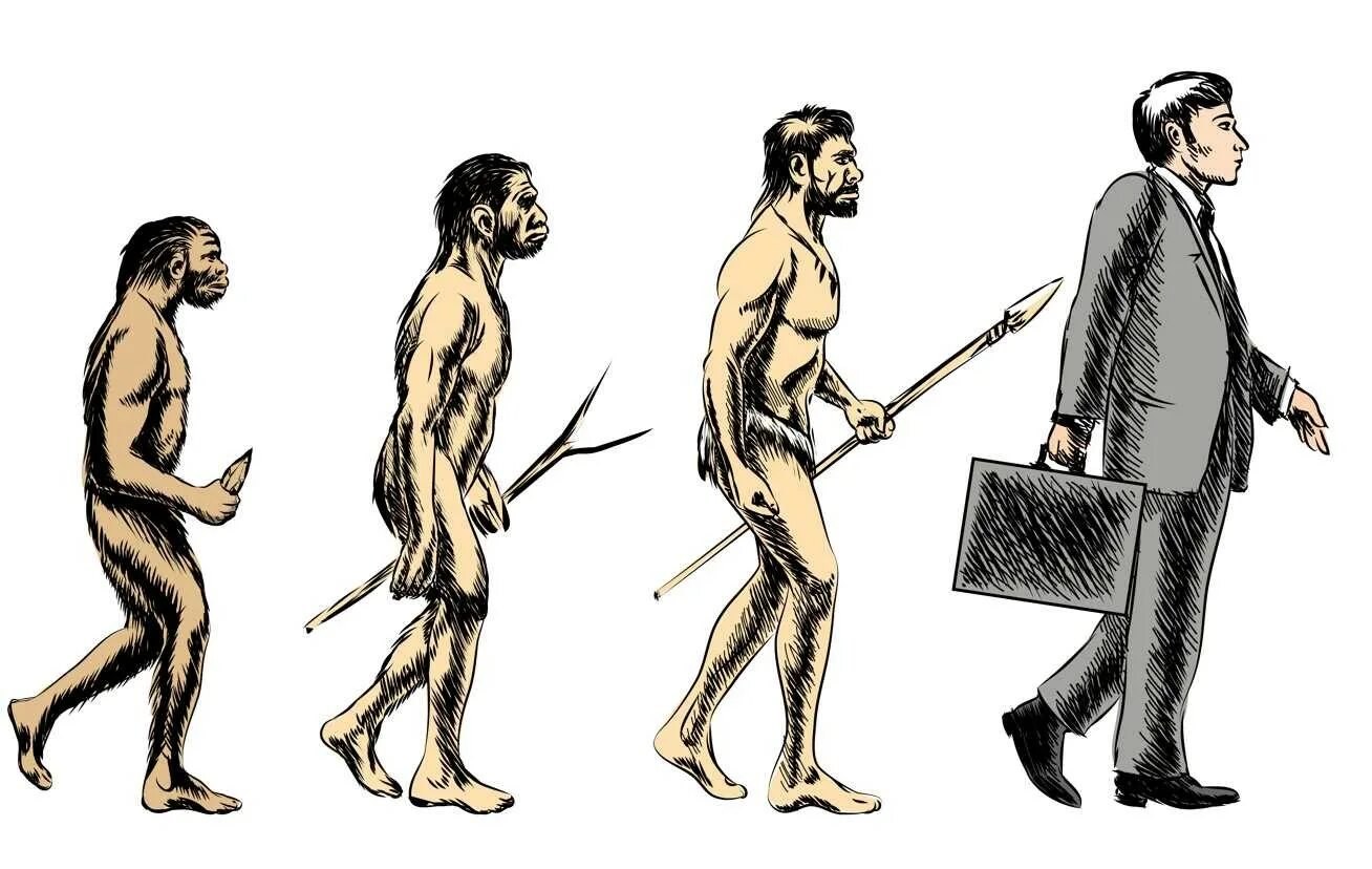 Эволюция человека. Эволюция человека от обезьяны. Развитие человека. Превращение обезьяны в человека. Процесс превращения человека в обезьяну