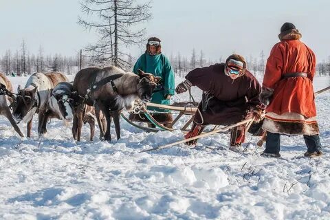 Жизнь народов севера сибири