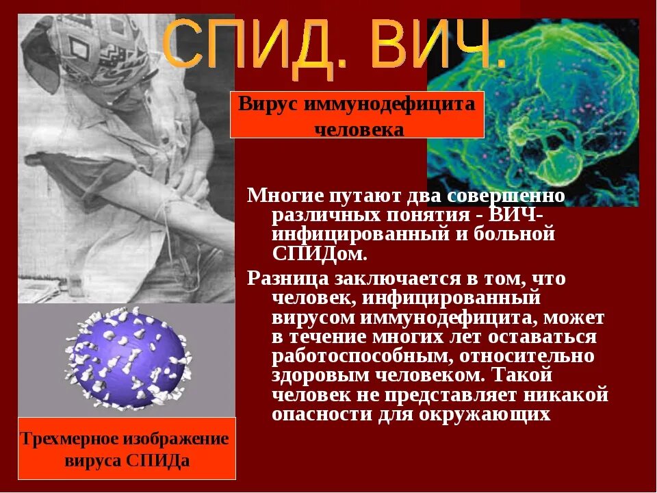 Вирус спида название. Презентация на тему ВИЧ. Вирус СПИДА. ВИЧ инфекция презентация. Вирус иммунодефицита человека.