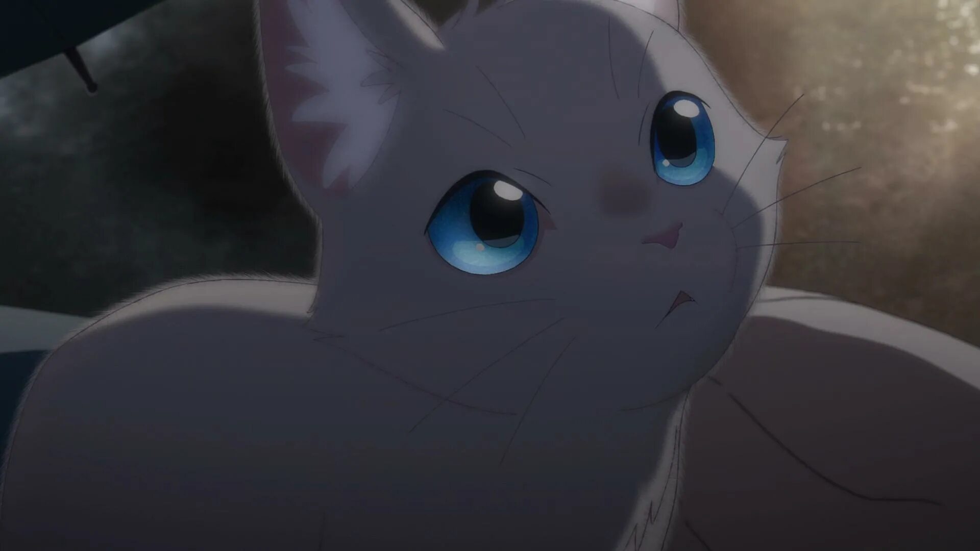 хинодэ и муги. сквозь слезы притворяюсь кошкой на русском. сквозь слезы притворяюсь кошкой на русском. сквозь слезы притворяюсь кошкой на русском. сквозь слезы притворяюсь кошкой на русском.